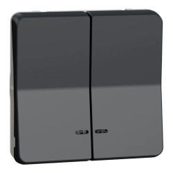 DBLE BP LED GRIS COMPO. - MUR35228 Schneider Electric