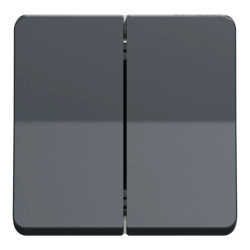 Mureva Styl - Double bouton poussoir - composable - IP55 - IK07 - gris - MUR35326 Schneider Electric