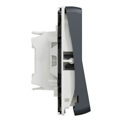 Mureva Styl - Double bouton poussoir - composable - IP55 - IK07 - gris - MUR35326 Schneider Electric