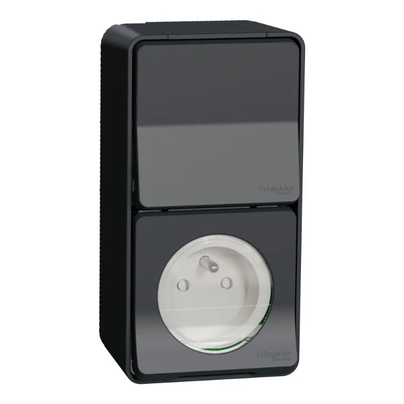 PC 2P+T + VV GRIS SAILLIE - MUR36025 Schneider Electric