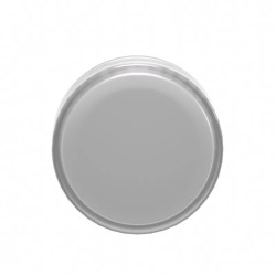 TETE VOYANT LUMINEUX - ZB4BV013E Schneider Electric