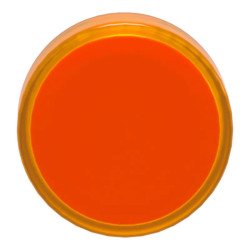 TETE VOYANT LUMINEUX - ZB4BV053E Schneider Electric