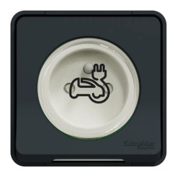 Prise renf saillie gris - MUR36010 Schneider Electric