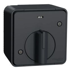 INTER TEMPO GRIS SAILLIE - MUR35067 Schneider Electric