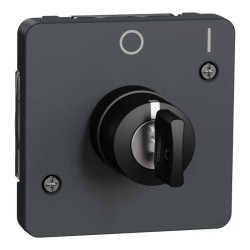 INTER CLE 2 POS GRIS COM. - MUR35062 Schneider Electric