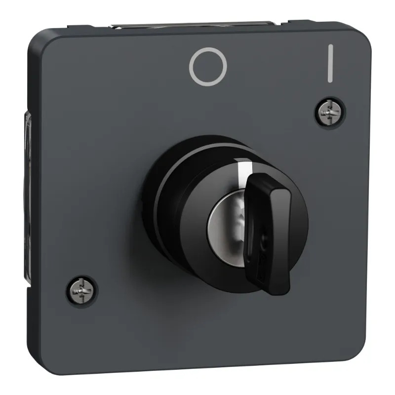 INTER CLE 2 POS GRIS COM. - MUR35062 Schneider Electric