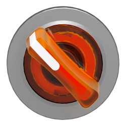 tête BT lum flush 2p fix orang - ZB4FK1253 Schneider Electric