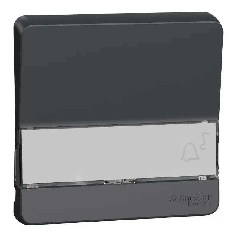 Mureva Styl - Enjoliveur porte étiquette lumineux - IP55 - IK08 - gris - MUR34203 Schneider Electric