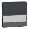 Mureva Styl - Enjoliveur porte étiquette lumineux - IP55 - IK08 - gris - MUR34203 Schneider Electric