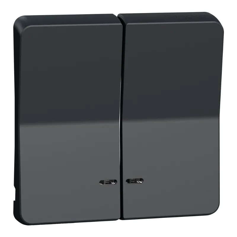 Mureva Styl - Enjoliveur 2 demi touche - IP55 - IK08 - gris - MUR34205 Schneider Electric