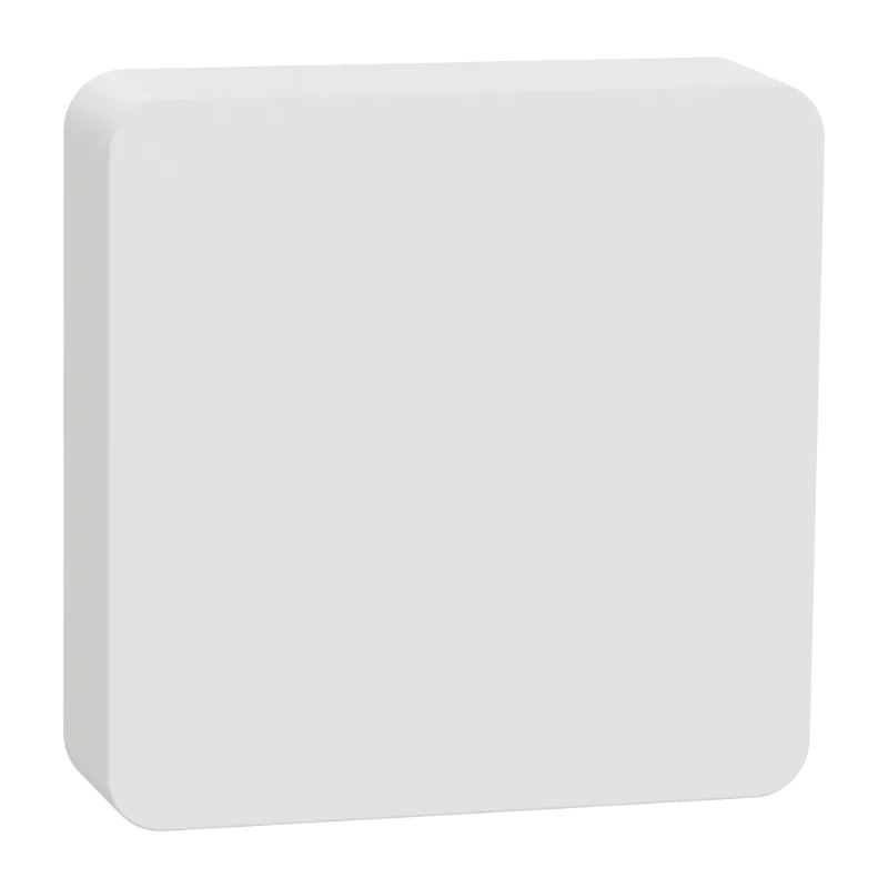 Wiser - détecteur de température et d'humidité - CCT593012 Schneider Electric