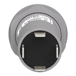 VOYANT PRESENC 3 PH R V J - XB5EV57K4 Schneider Electric