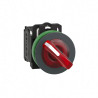 BT lum flush rouge 1O+1F 24V - XB5FK124B5 Schneider Electric