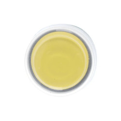 Harmony tête de bouton poussoir + capuchon IP69K - Ø22 - jaune - ZB5AP5 Schneider Electric