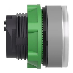 Tête BP lumineux personnalisée - ZB5AWCUST05 Schneider Electric