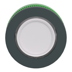 TETE ENCASTREE BOUTON POU - ZB5FA18 Schneider Electric