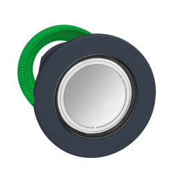 Tête BP lumineux personnalisée - ZB5FHCUST01 Schneider Electric