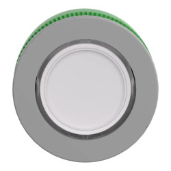 Tête BP lumineux personnalisée - ZB5FHCUST02 Schneider Electric