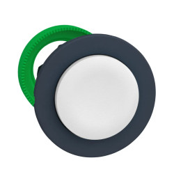 Tête Bout pouss personnalisée - ZB5FLCUST01 Schneider Electric