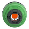 tête BP lum flush dépas orange - ZB5FW153 Schneider Electric