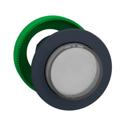 Tête BP lumineux personnalisée - ZB5FWCUST01 Schneider Electric