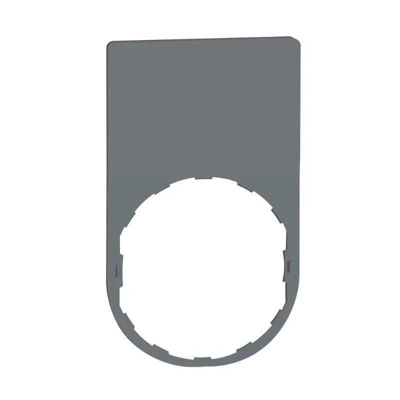 LGNDPLATE 30x50 2ROW-BLNK LABEL(BLK/RED) - ZBYP6101C0 Schneider Electric