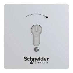BOITE INVIOLABLE ENCASTRE - XAPS14221N Schneider Electric