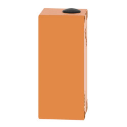 Boite métal vide orange - M25 x2 - 4 trous 22 mm - 80x175x77 mm - XAPO3504 Schneider Electric
