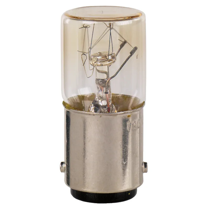 BA9S LONGUE DUREE - DL1CE024 Schneider Electric