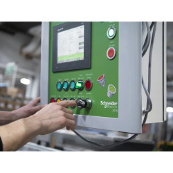 BA9S LONGUE DUREE - DL1CE024 Schneider Electric