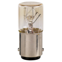 BA9S 24V PAR 100 - DL1CE024NSP Schneider Electric