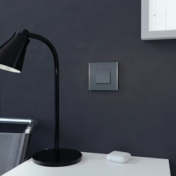 Unica Déco Subtile - Plaque de finition - Anthra liseré argent  - 1P - NU600243 Schneider Electric