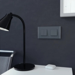 Unica D plaq anth/argent 2P - NU600443 Schneider Electric