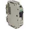 TeSys GB2-CB - disjoncteur pour circuit de contrôle - 1A - 1P - 1d - GB2CB06 Schneider Electric