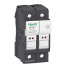 PORTE FUS 2P 32A POUR FUS - DF102V Schneider Electric