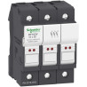 PORTE FUS 3P 32A POUR FUS - DF103V Schneider Electric
