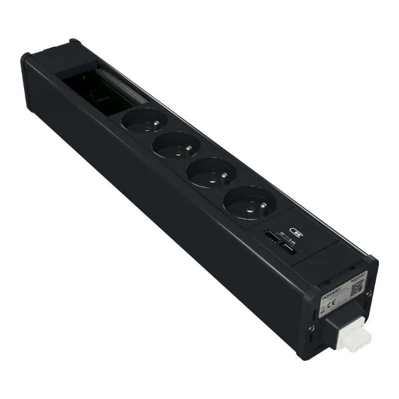 Module M 4PC+USB A+C+VDI - Ant - INS44261 Schneider Electric