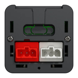 Module M 4PC+USB A+C+VDI - Ant - INS44261 Schneider Electric
