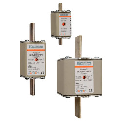 FUSIBLE UR 00 160A - DF400160 Schneider Electric