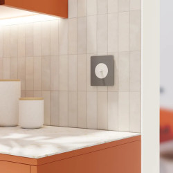 Odace - va-et-vient ou poussoir à levier - 10AX - blanc craie