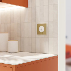 Odace - va-et-vient ou poussoir à levier - 10AX - blanc craie