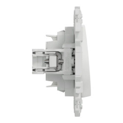 Odace - va-et-vient ou poussoir avec griffes - 10AX - blanc craie