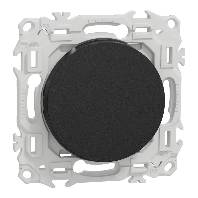 Odace - va-et-vient ou poussoir - 10AX - noir onyx