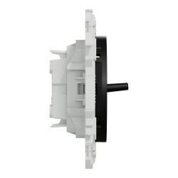 Odace - double va-et-vient ou poussoir à levier - 10AX - noir onyx