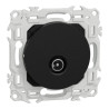 Odace - prise TV simple mâle - sortie coaxiale - noir onyx