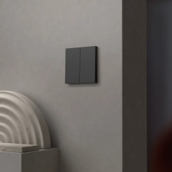 Odace - double va-et-vient ou poussoir - 10AX - sans enjoliveur