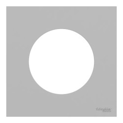 Odace - plaque de finition 1 poste - couleur Gris galet