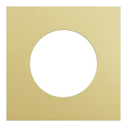 Odace Métal - plaque de finition 1 poste - effet Laiton support blanc