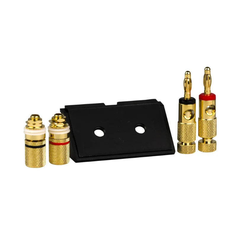 Adaptateur haut-parleurs 10mm² - MTN464387 Schneider Electric