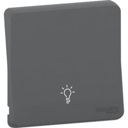 Mureva Styl - Enjoliveur avec symbôle lumière - IP55 - IK08 - gris - MUR34202 Schneider Electric
